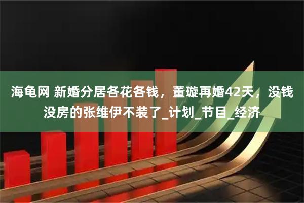 海龟网 新婚分居各花各钱，董璇再婚42天，没钱没房的张维伊不装了_计划_节目_经济