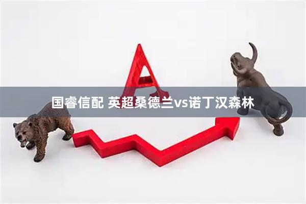 国睿信配 英超桑德兰vs诺丁汉森林