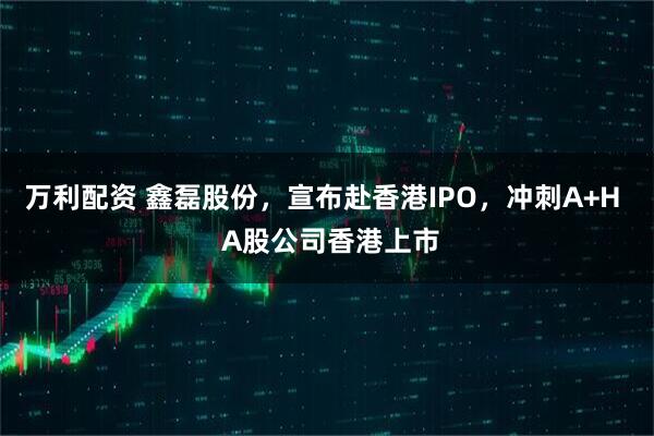 万利配资 鑫磊股份，宣布赴香港IPO，冲刺A+H  A股公司香港上市