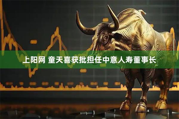 上阳网 童天喜获批担任中意人寿董事长