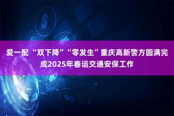 爱一配 “双下降”“零发生”重庆高新警方圆满完成2025年春运交通安保工作